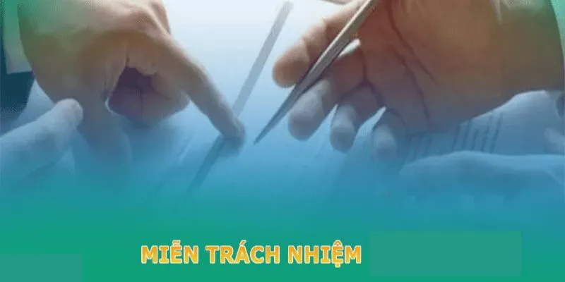 Lỗi bên thứ 3